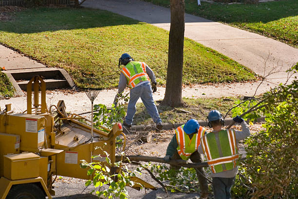 Landscape Design and Installation in Forestdale, AL